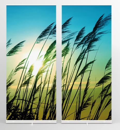 Roll-Up-Display 2-teilig (2 Banner à 85 x 200 cm)