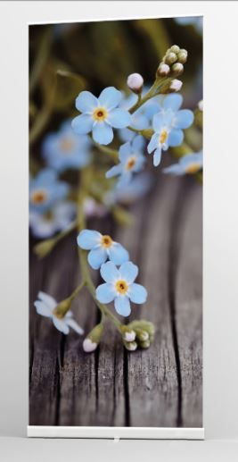 Roll-Up-Display 1-teilig (1 Banner à 85 x 200 cm)