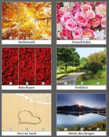 Roll-Up-Display 2-teilig (2 Banner à 85 x 200 cm)