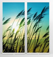 Roll-Up-Display 2-teilig (2 Banner à 85 x 200 cm)