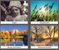 Roll-Up-Display 3-teilig (3 Banner à 85 x 200 cm)