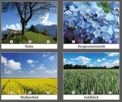 Roll-Up-Display 2-teilig (2 Banner à 85 x 200 cm)