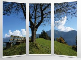 Roll-Up-Display 3-teilig (3 Banner à 85 x 200 cm)