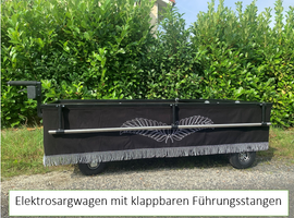 Sargwagen „5550 E“ ELEKTRO